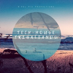 Techouse Tribaleando- Remixset Dj   Avila  (16 - 02 - 2019)