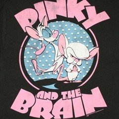 Pinky AND THE Brain