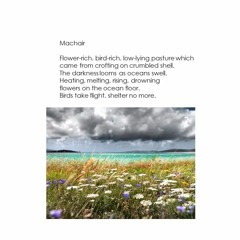 Machair