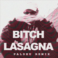 Bitch Lasagna (Palshu Remix)