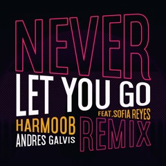 NEVER LET YOU GO Feat. Sofia Reyes ( Harmoob & Andres Galvis Remix ) DEMO