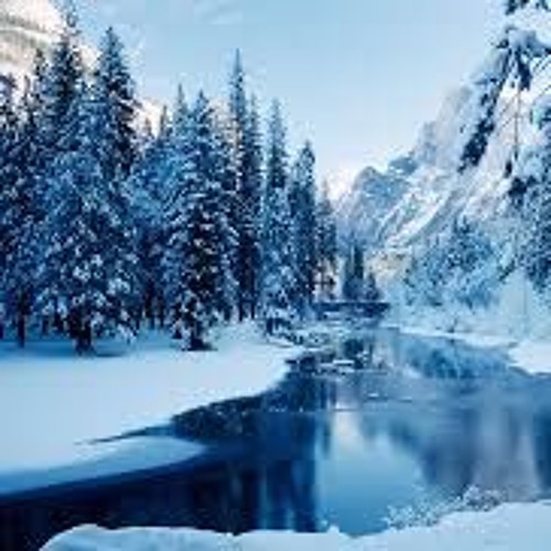 Woods (Bon Iver cover)