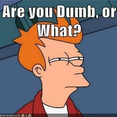 Are You dumb Or What