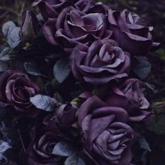 BLACK ROSES - ADRI