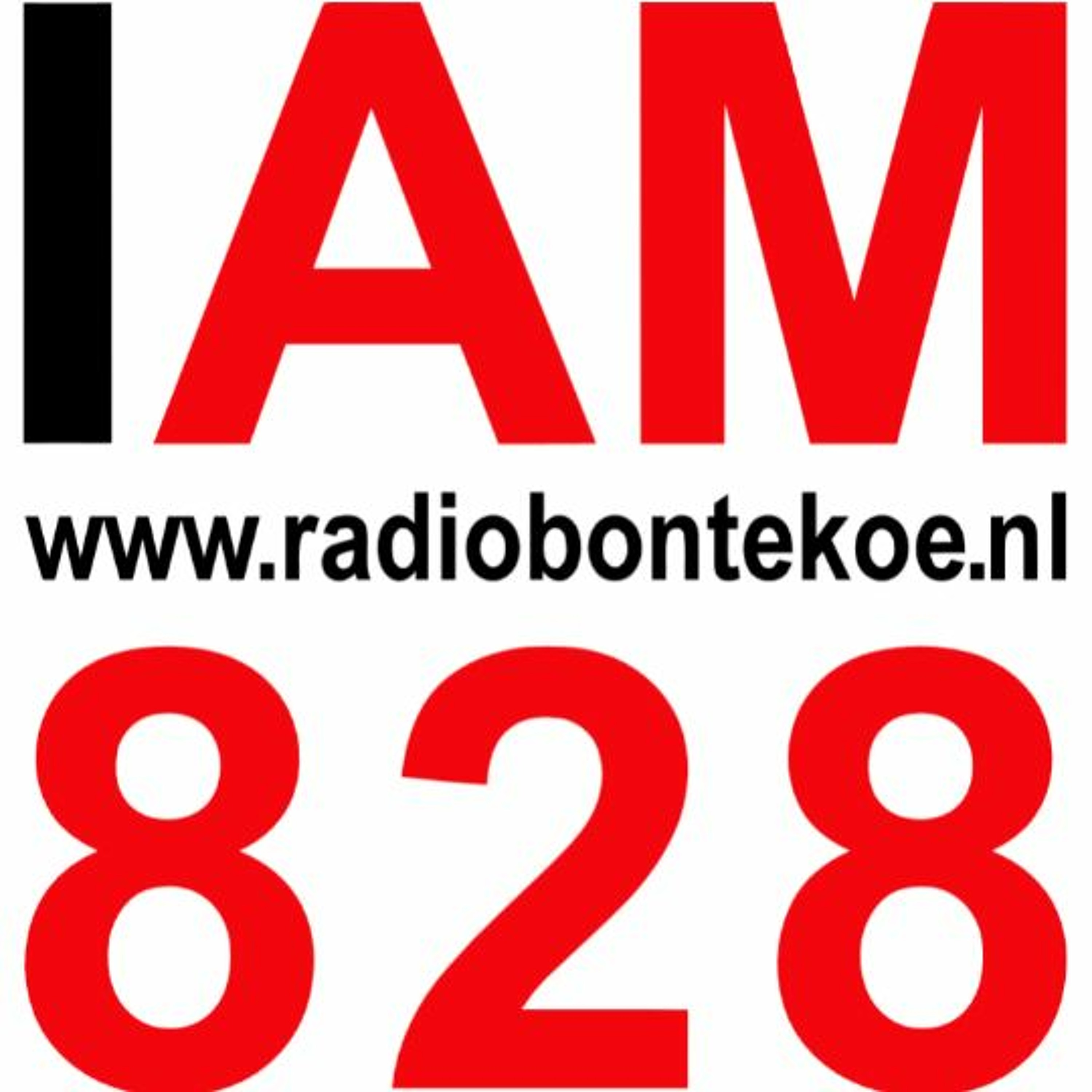 Column Van Sjaak Grosthuizen 4 mei 2019