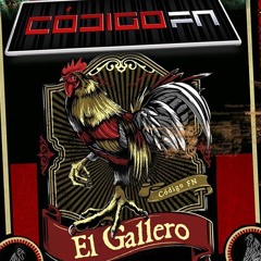 El Gallero (Estudio 2019) Codigo FN