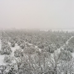 Aztek Rendezvous (Raw/Unmastered)