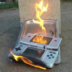 3DS Flex