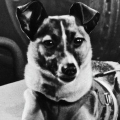 Laika