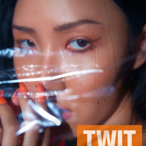 Hwa Sa(화사) _ TWIT(멍청이)