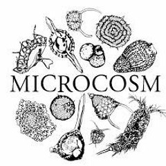 Microcosm - Acid Composer part 2