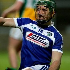 Laois Breeze Past Offaly