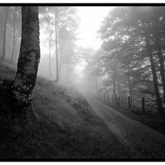 Demain dès l'aube Victor Hugo/musique Delaporte