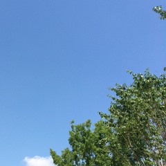 하늘(demo)
