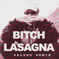 Bitch Lasagna (Palshu Remix) (Instrumental)