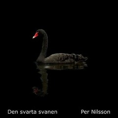 Den svarta svanen