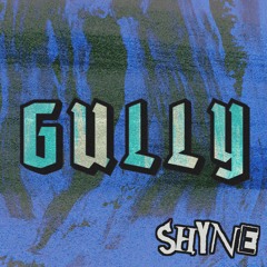 Gully (prod. hyperviolet)