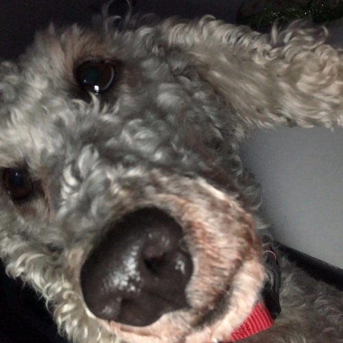 Tupac X Sunset Lover- Hit Em Up