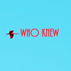 WHO KNEW (mix by nxrtheast)
