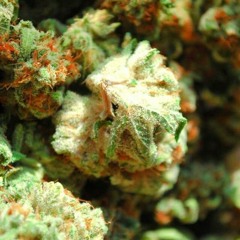 OverTime - -Prod. By KushMane