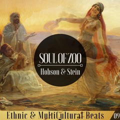 Multi Cultural Beats #09 With " Hobson & Stein "