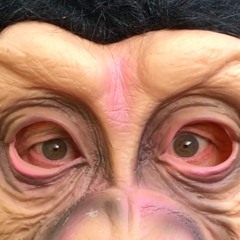 SONGE DE SINGE (Lyrics+ video link) Monkey biz extract