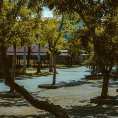 Em dạo này.