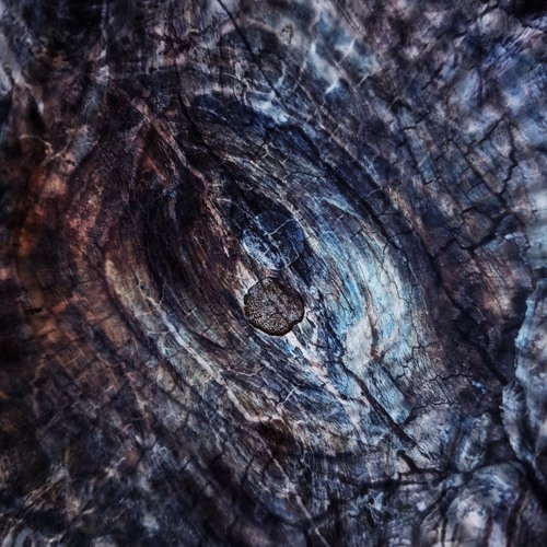 Delusional Circuits x Dycide - Struktogram