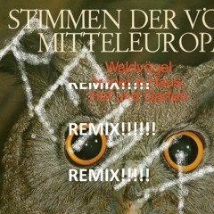 5. Nachtigall - Luscinia megarhynchos - Remix