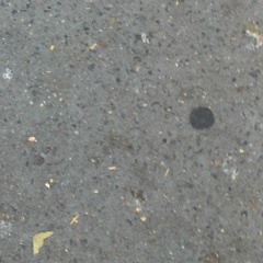 august version 2 - disposable thumbs demo