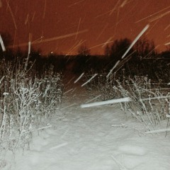 Whitespace V
