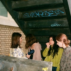 the bug collector (cover)