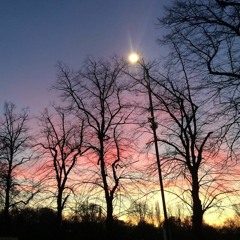 Charlotte Cardin - Go Flex (Guitar Cover)