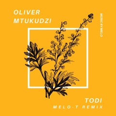 oliver mtukudzi - todi (melo-t remix)