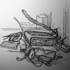 The Two of Us as Wires and Batteries (Acoustic)- Bird Furniture