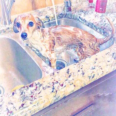 Santeria (Instrumental Cover)