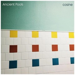Ancient Pools - Forget