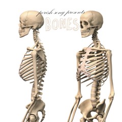 b o n e s
