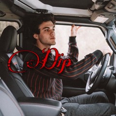 DIP