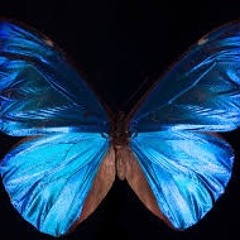 Ma$o Boo - oh (demo)