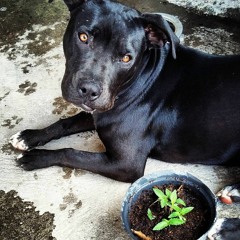 05. Eh Comprendido X Deak