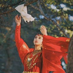 [Vietsub+ Lyrics] Sơ Kiến (Lần Đầu Gặp Gỡ OST Đông Cung) - Diệp Lý Ft Dư Chiêu Nguyên《初见OST东宫》