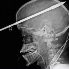 Tiger G Ft AlphaOmega - No Cap