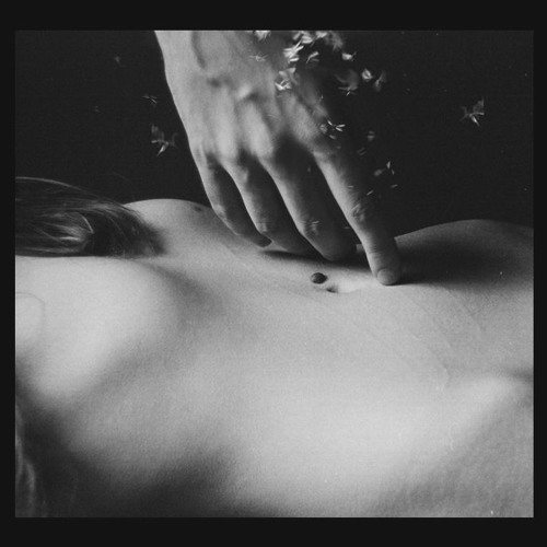 ... The More I Love You