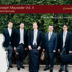Wiener Mayseder Ensemble - Streichquintett Nr. 2 a-Moll op. 51 - I. Allegro agitato