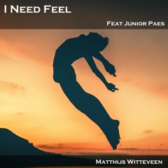 Matthijs Witteveen Feat Junior Paes - I Need Feel