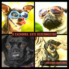 001 - O Cachorro, este desconhecido