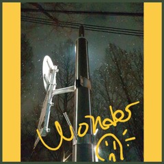 Wonder_prod by. false ego