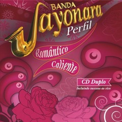 Fogo e Paixão (Banda Sayonara)