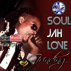 Soul Jah Love : The Best of **Zimdancehall**